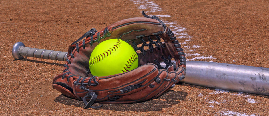 Welcome to Dallastown Cougar Softball